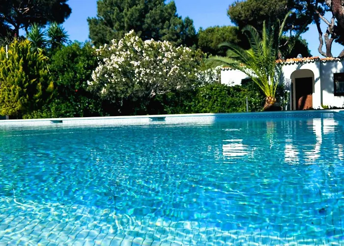 Фото Апартаменты Solar Dos Pinheiros T3 Виламура