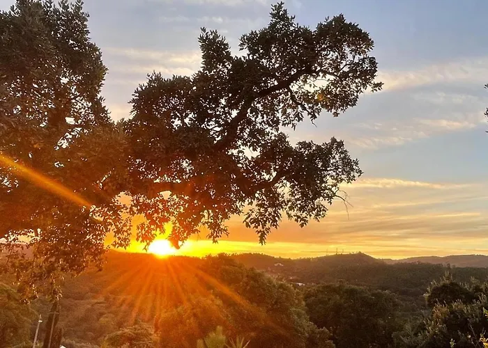 Forest House Oku Naveの写真